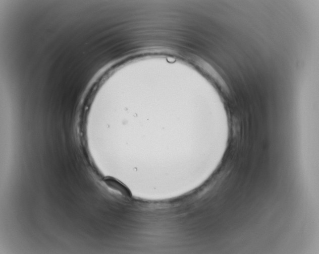 X0000112971068200910081041