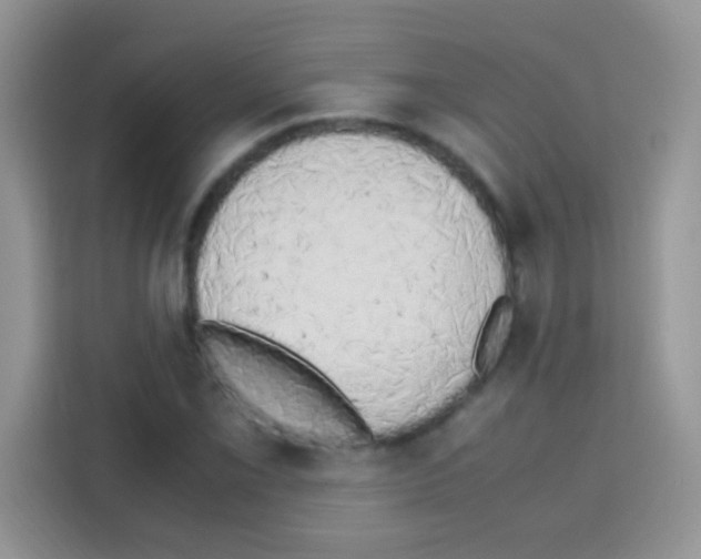 X0000112971069200910081041