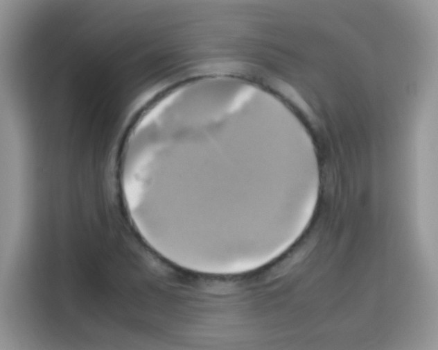X0000112971071200910081041