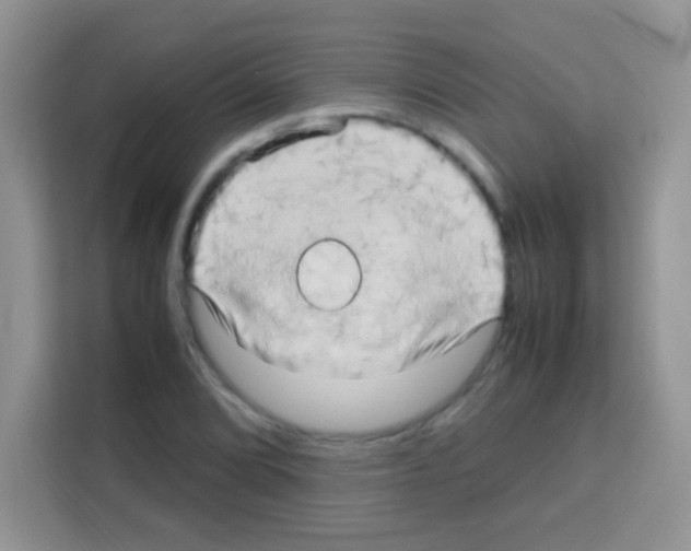 X0000112971072200910081041