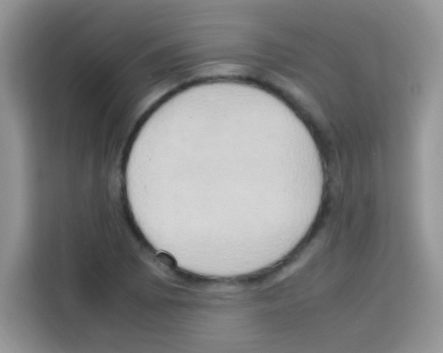 X0000112971073200910081041
