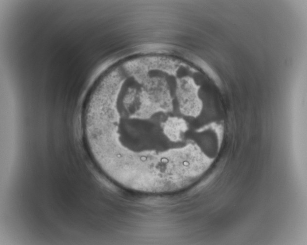 X0000112971075200910081041
