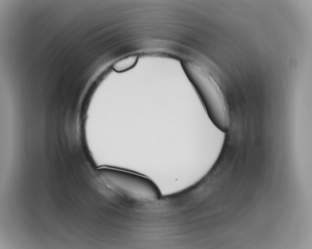 X0000112971076200910081041