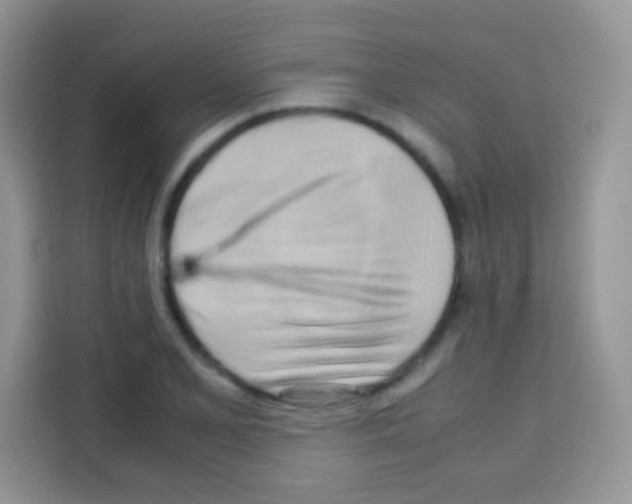 X0000112971077200910081041