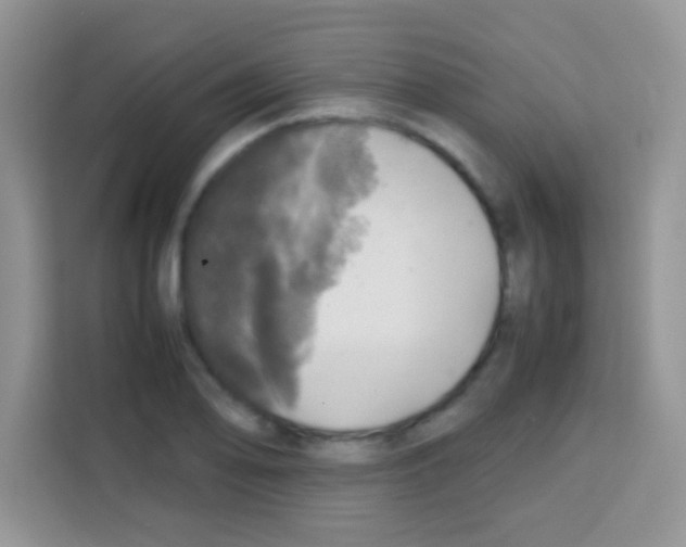 X0000112971078200910081041