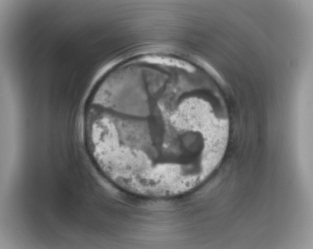 X0000112971079200910081041