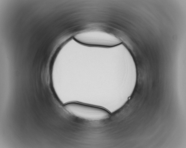 X0000112971080200910081041