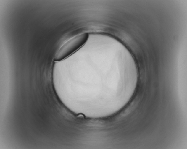X0000112971081200910081041