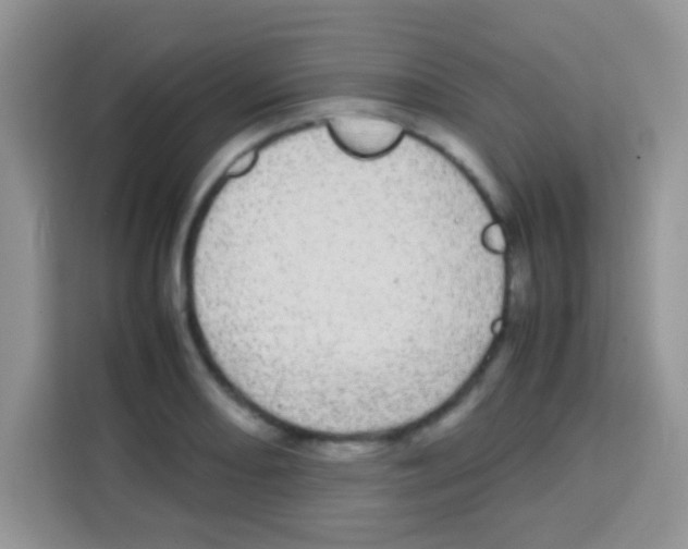 X0000112971082200910081041