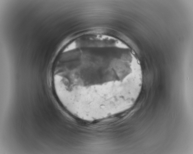 X0000112971083200910081041