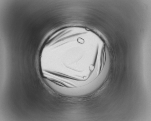 X0000112971085200910081041