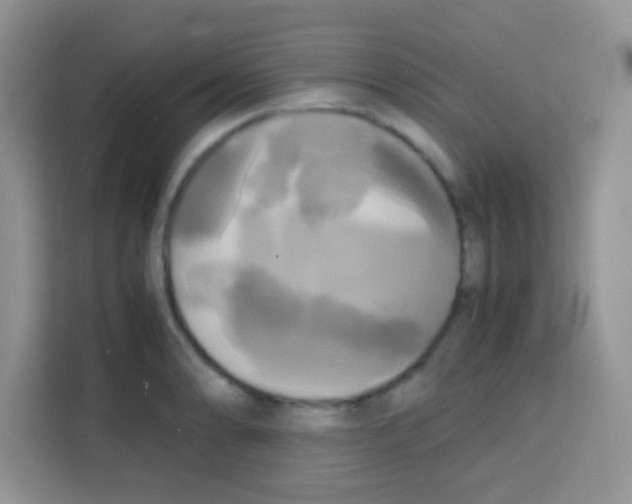 X0000112971086200910081041
