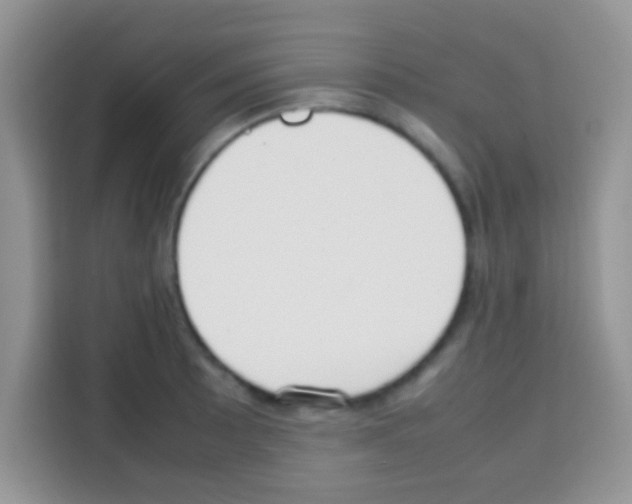 X0000112971089200910081040