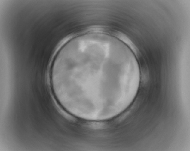 X0000112971090200910081040