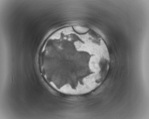 X0000112971091200910081040