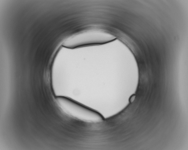 X0000112971092200910081040