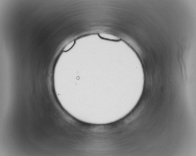 X0000112971093200910081040