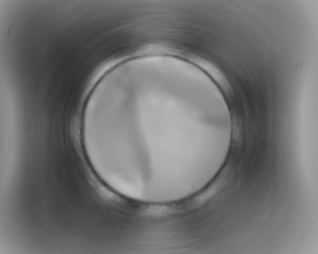 X0000112971094200910081040