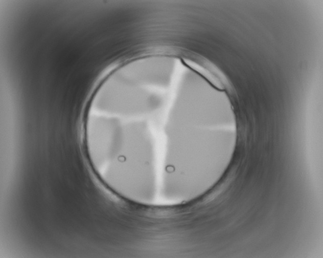 X0000112971095200910081040