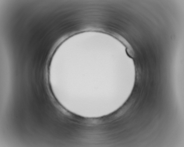 X0000112971096200910081040