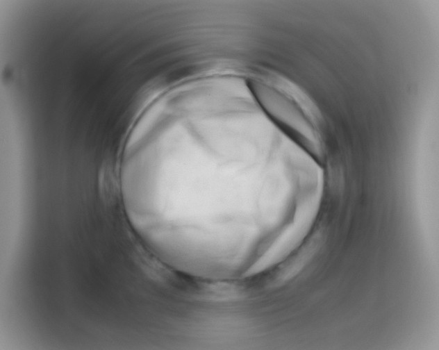 X0000112971097200910081040