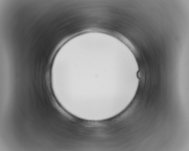 X0000112971100200910081040