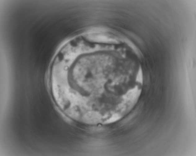 X0000112971103200910081040