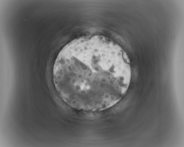X0000112971105200910081040