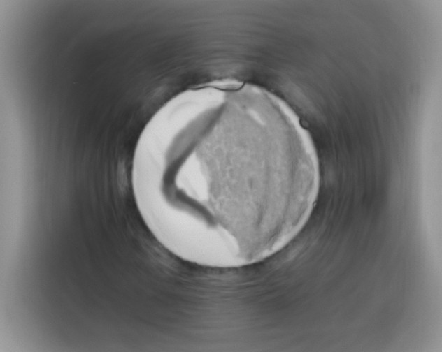 X0000112971106200910081040