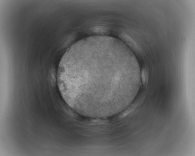X0000112971107200910081040