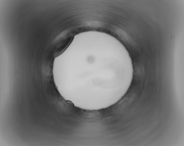 X0000112971110200910081040