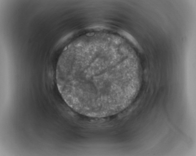 X0000112971111200910081040