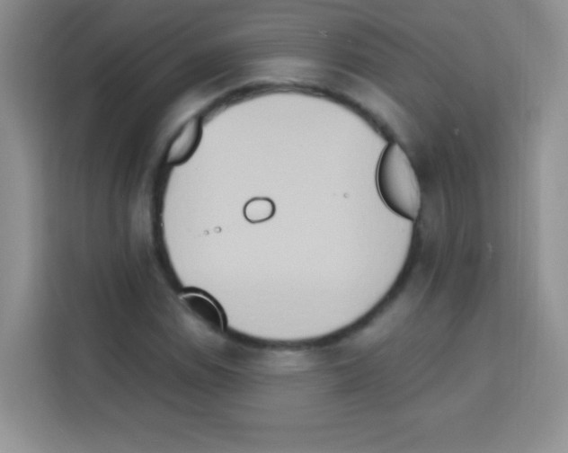 X0000112971114200910081040