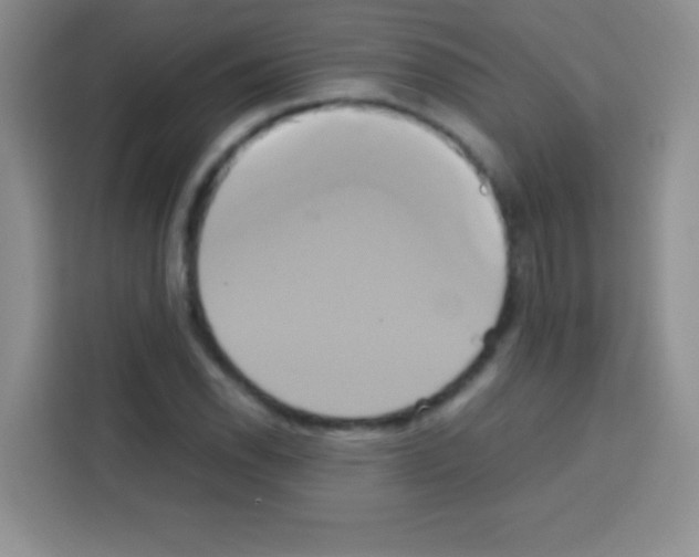 X0000112971118200910081040