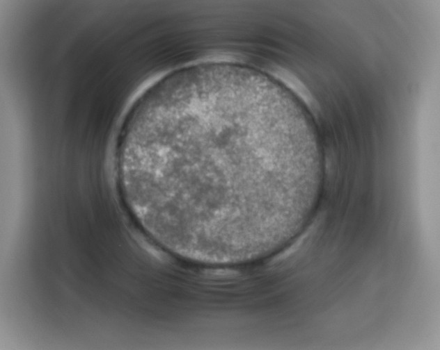X0000112971119200910081040