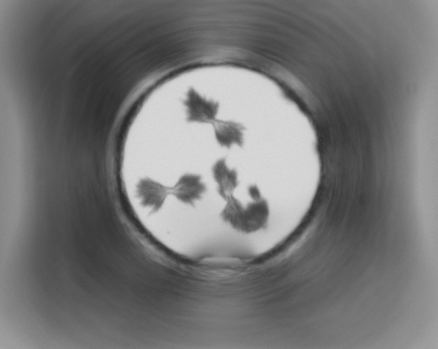 X0000112971122200910081040