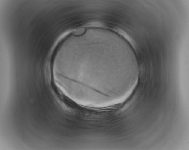 X0000112971123200910081040