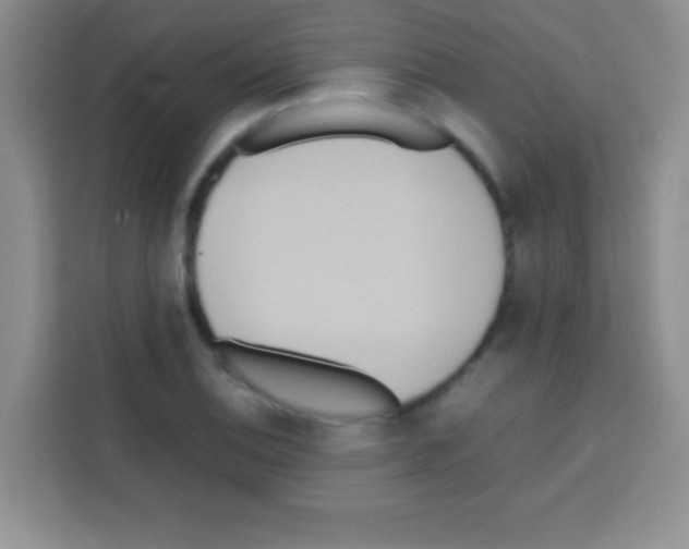 X0000112971124200910081040