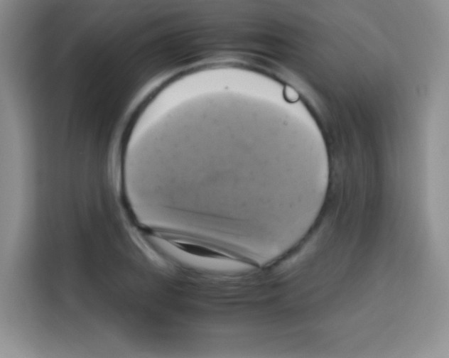 X0000112971127200910081040