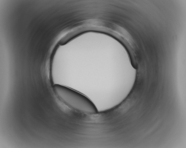 X0000112971128200910081040