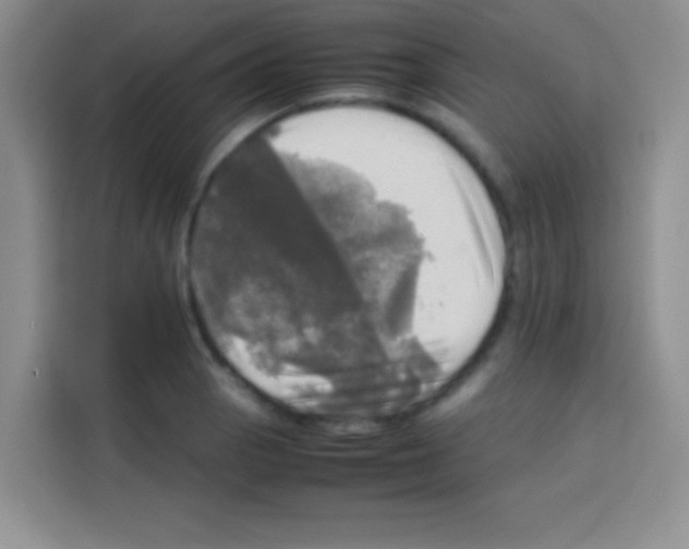 X0000112971129200910081040