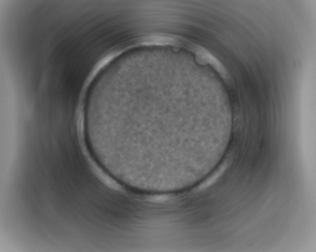 X0000112971130200910081040