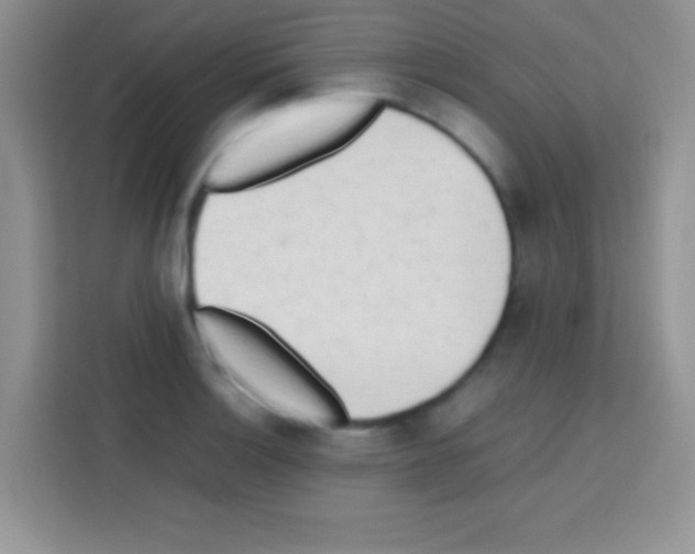 X0000112971132200910081040