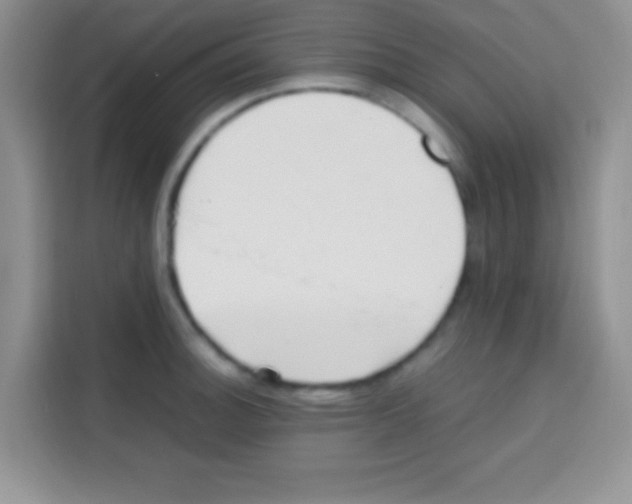 X0000112971140200910081040