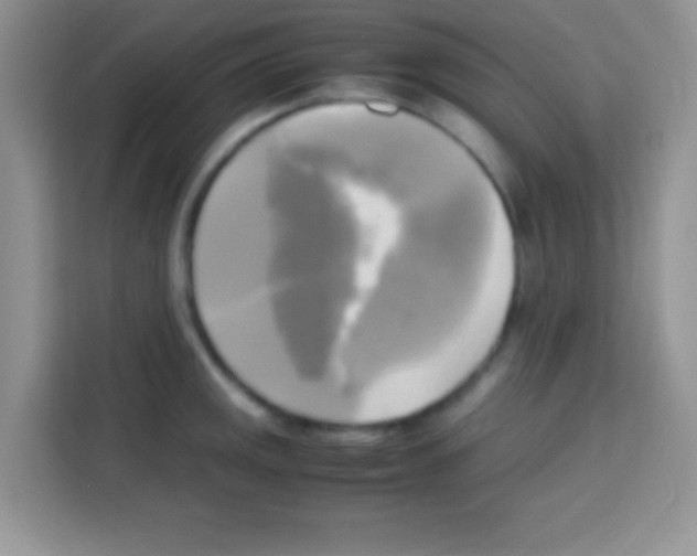 X0000112971141200910081040