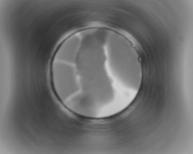 X0000112971142200910081040