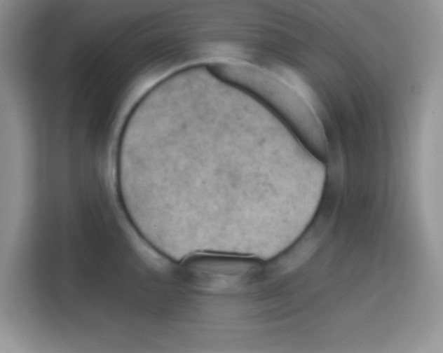 X0000112971144200910081040