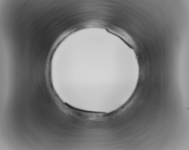 X0000112971146200910081040