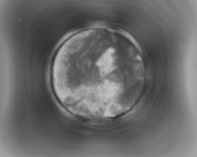 X0000112971147200910081040