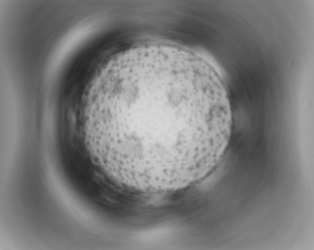X0000112971150200910081040